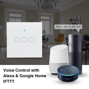 Work with Alexa & Google Assistant 